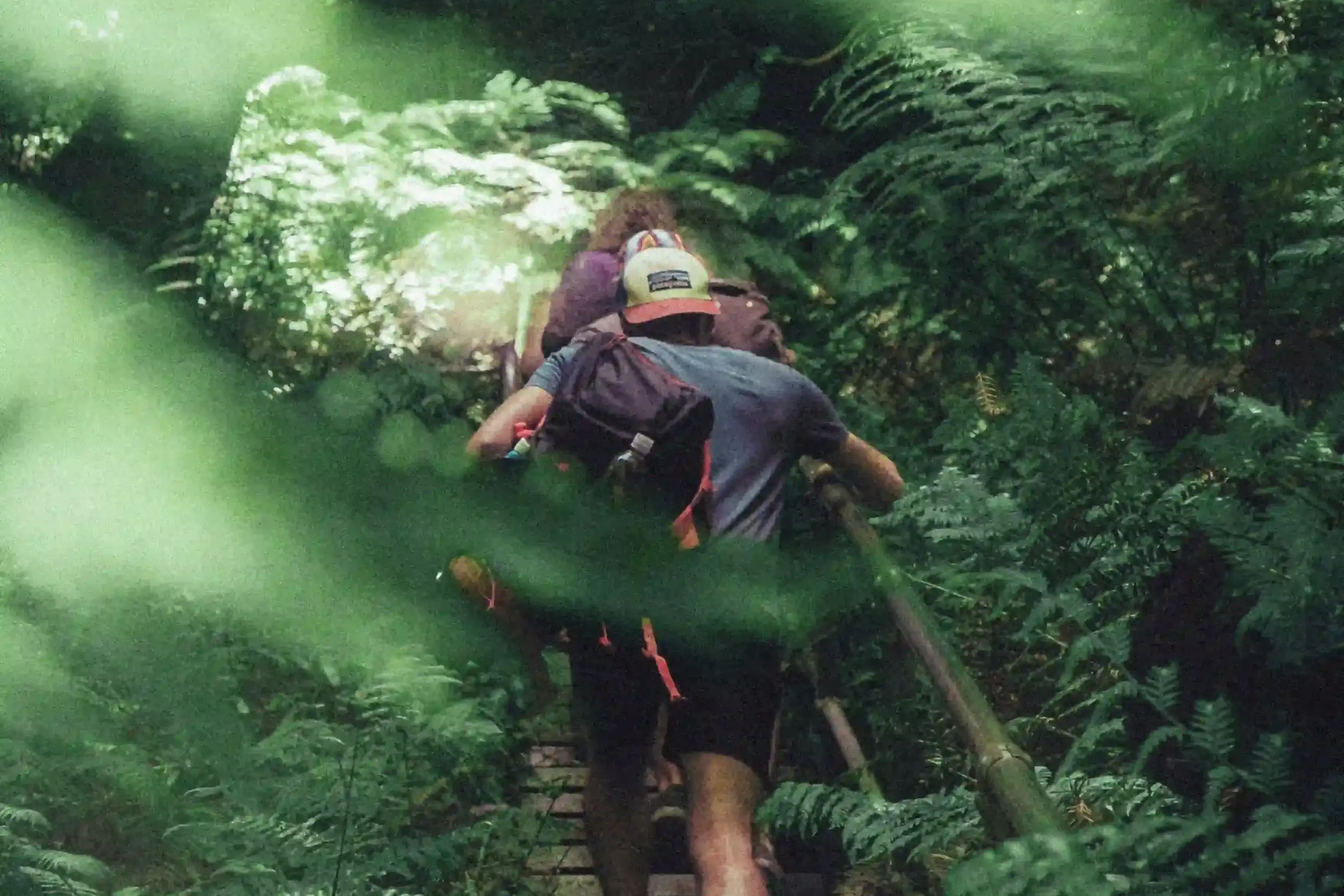 Guests hiking through lush tropical greenery on a guided nature walk in Nicaragua.