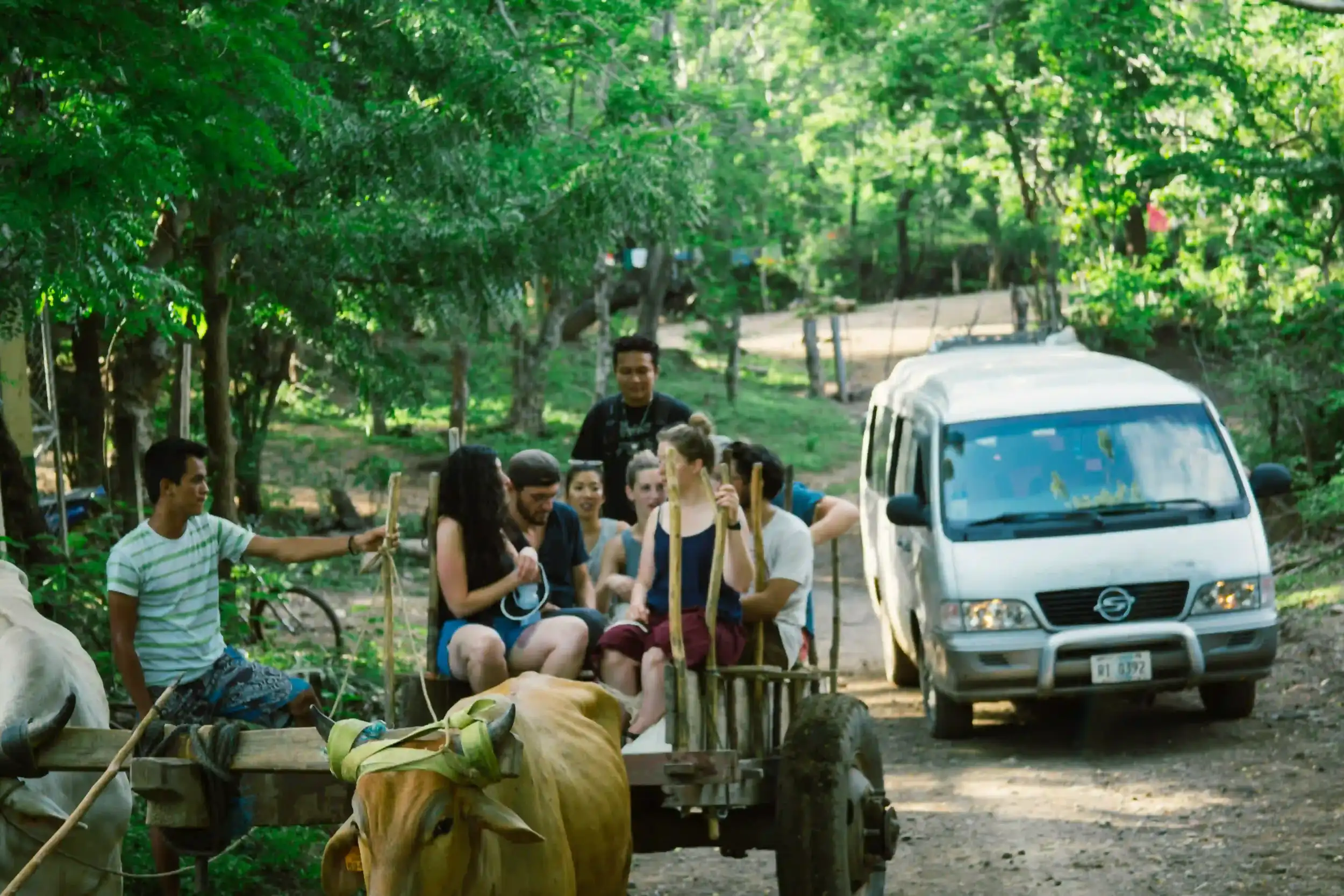 A group of visitors riding in an ox-cart through a lush rural area during a local cultural tour.
