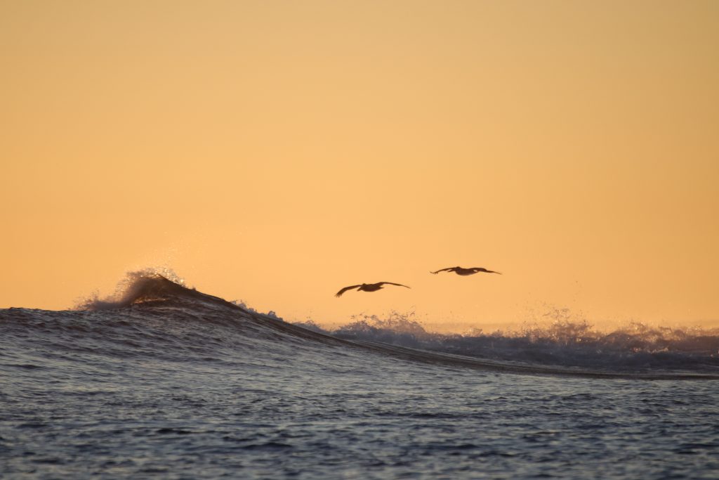 When is the best time to surf in Nicaragua